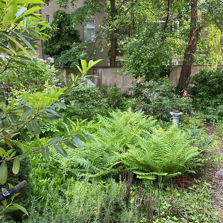 Zentral Gelegen - Stilvolles Appartment In Moabit Берлин Экстерьер фото